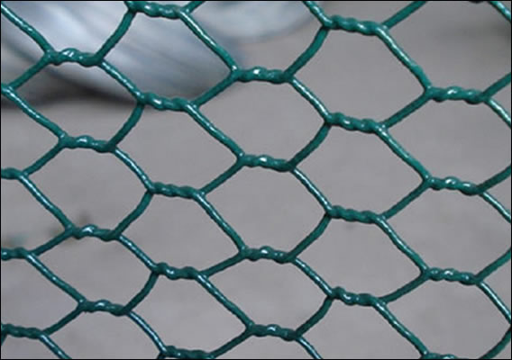 PVC Coated Hexagonal Wire Mesh Used for Fence or Gabion