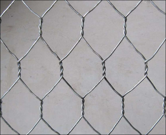 Galvanized Hexagonal Wire Mesh