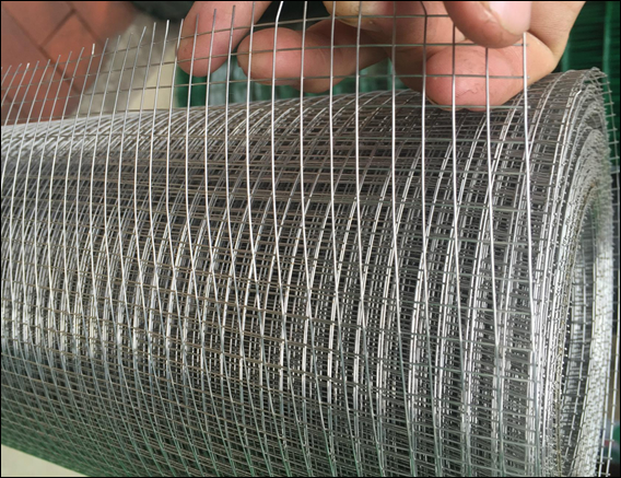 Galvanized welded mesh hardware cloth in square hole for chicken netting